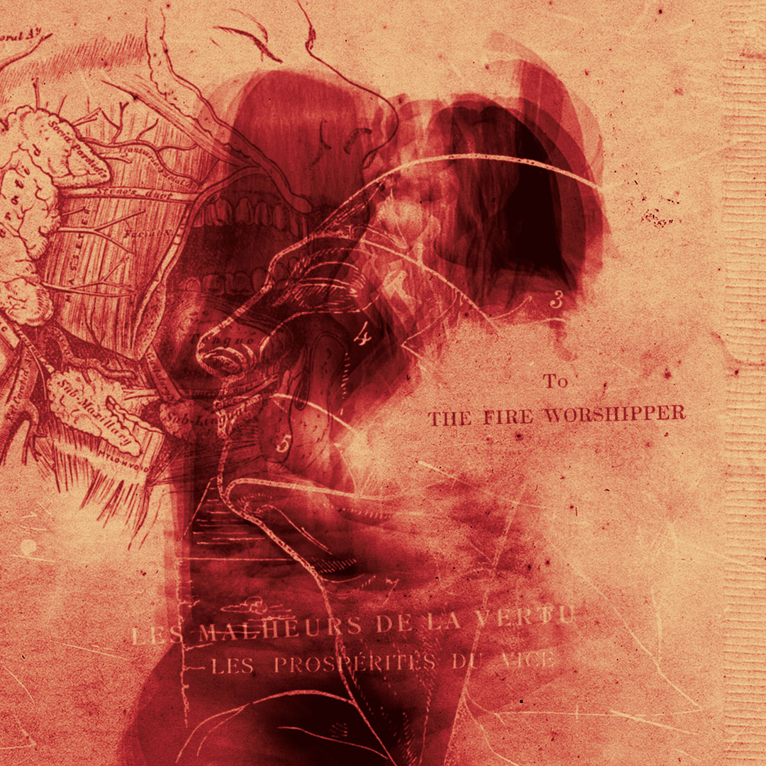 metamateria-flamma-3